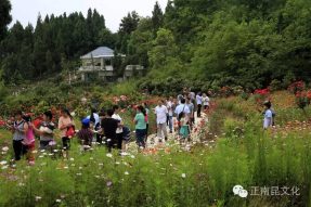 南部縣首屆微電影節(jié)開幕式精彩視頻，怎容錯過！